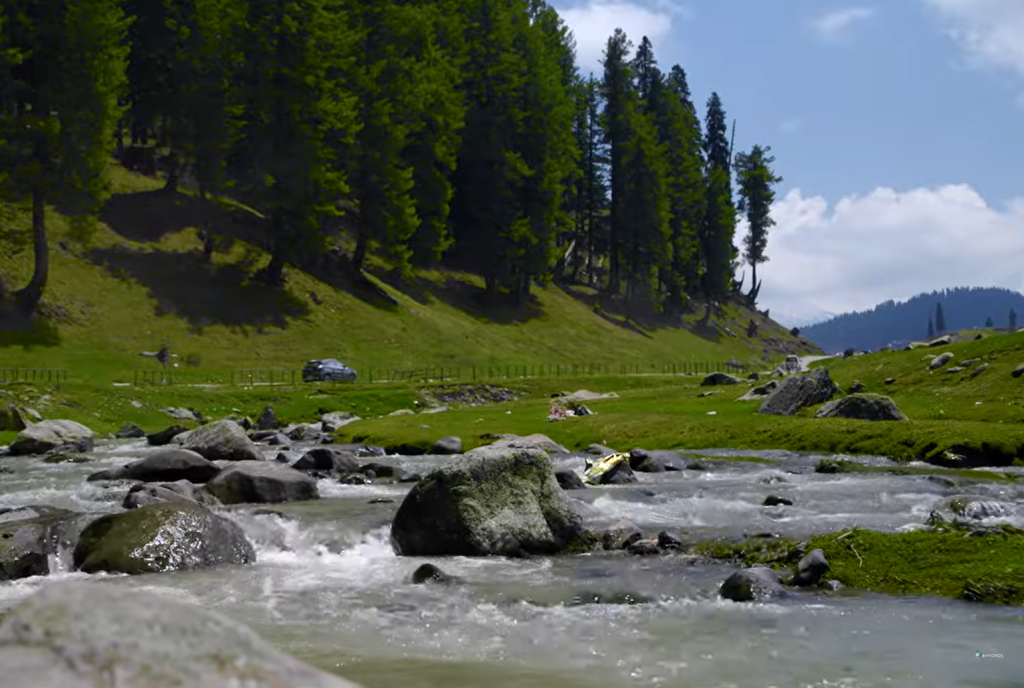 the Beauty of Gulmarg and Dal Lake 7 dal lake viewpoint