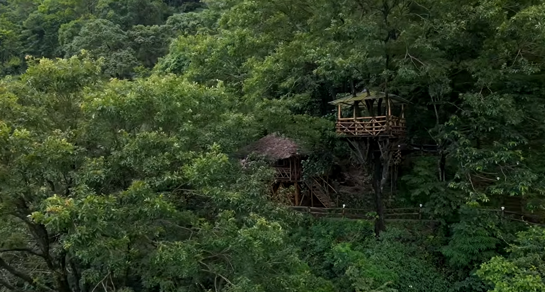 Best tree houses